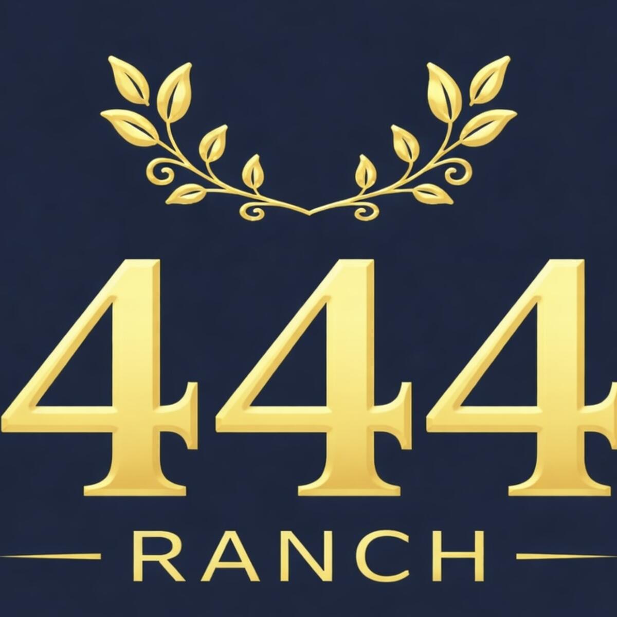 444 Ranch Jackpot Barrel Race Warrenton, GA.  Friday, August 7,  7:30pm