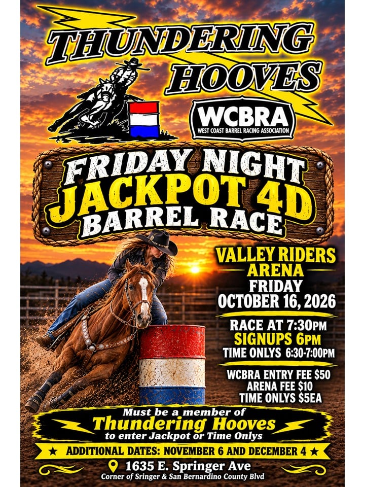 THUNDERING HOOVES FRIDAY NIGHT 4D flyer