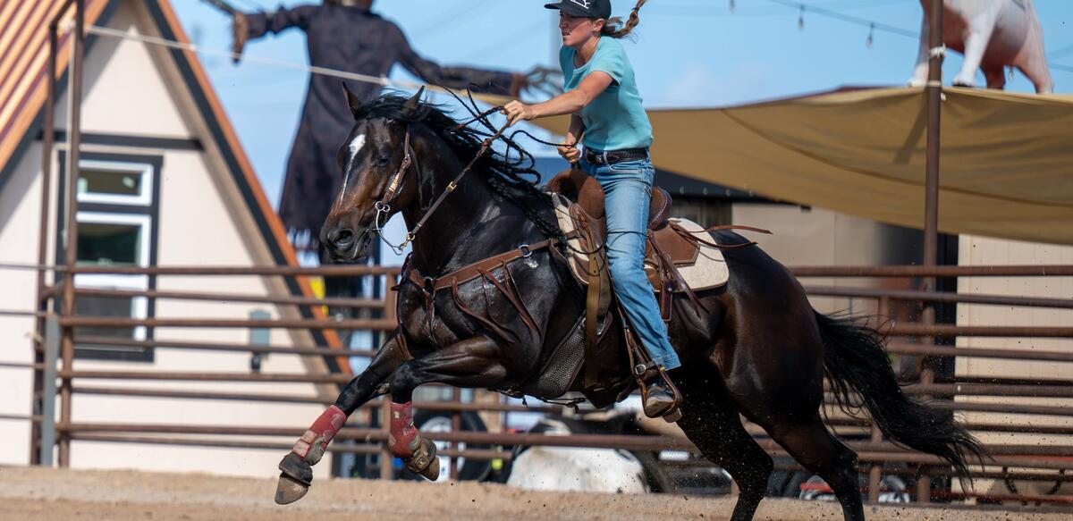 SSRP x Dillon's WTR