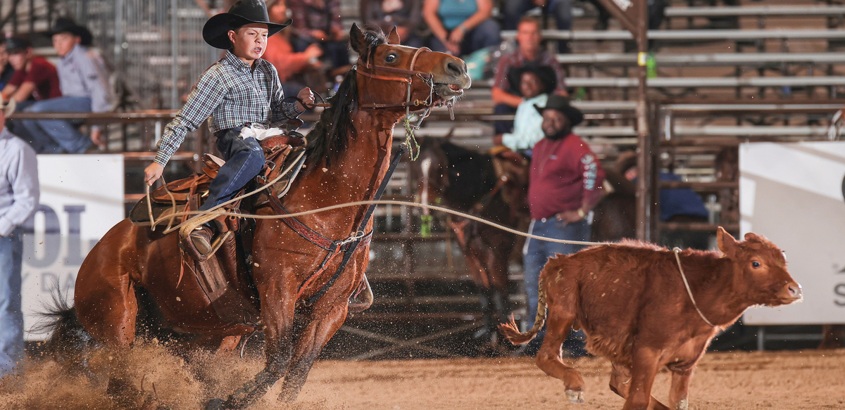 SEYRA - Rodeo FINALS Day 1, Sat (10/31) Andalusia, AL flyer
