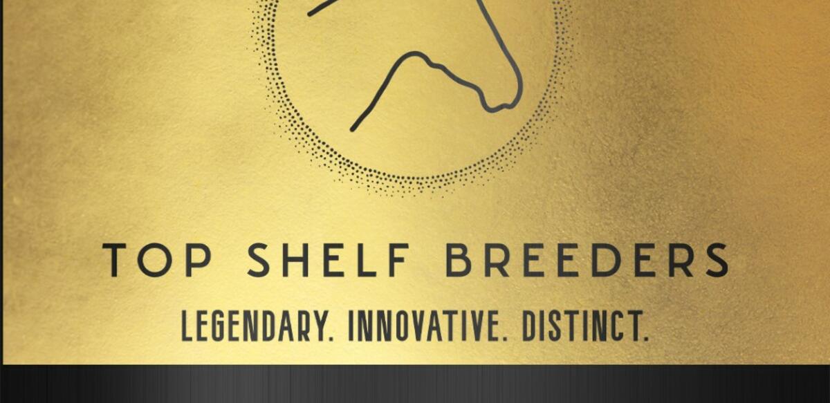 Chasing Dreams Finding Curess $10K sidepot TOP SHELF BREEDERS flyer