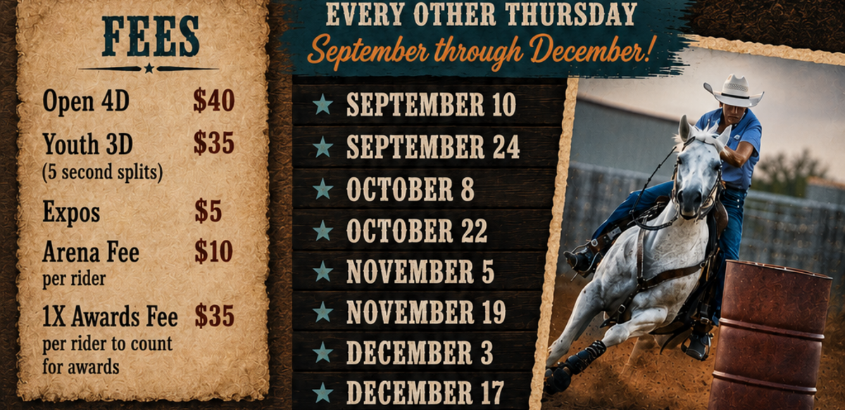 Graham Fall Buckle Series
